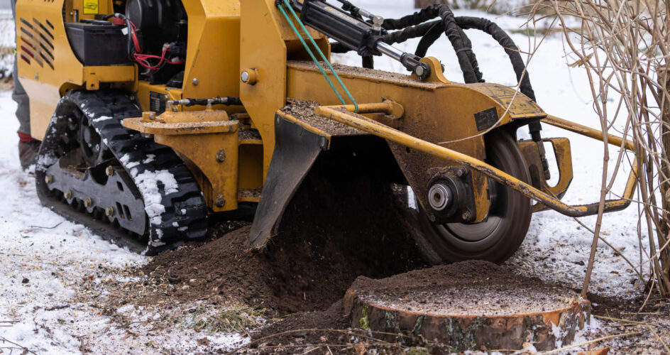 Stump Grinding - Big Easy Tree Cutting