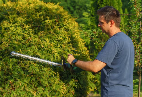 Homeowner pruning tree branches with hand tools in backyard