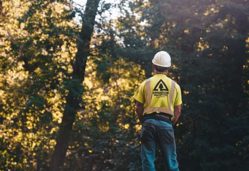 Professional tree service crew with equipment ready for trimming work