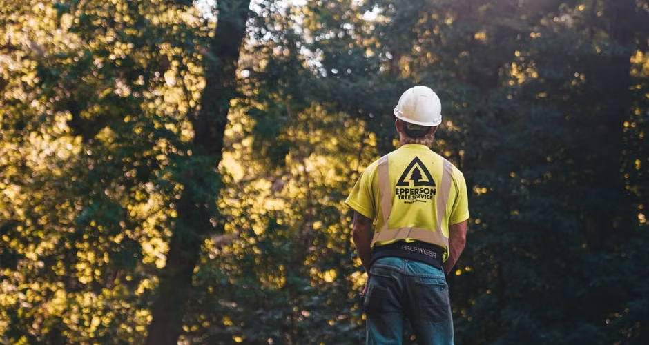 Professional tree service crew with equipment ready for trimming work