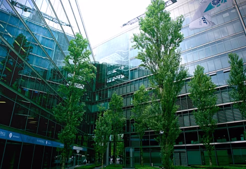Commercial property with professionally maintained trees and landscaping