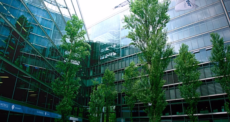 Commercial property with professionally maintained trees and landscaping