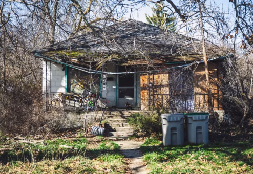 Overgrown untrimmed trees crowding residential property and blocking sunlight