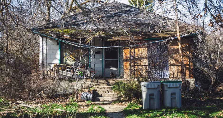 Overgrown untrimmed trees crowding residential property and blocking sunlight