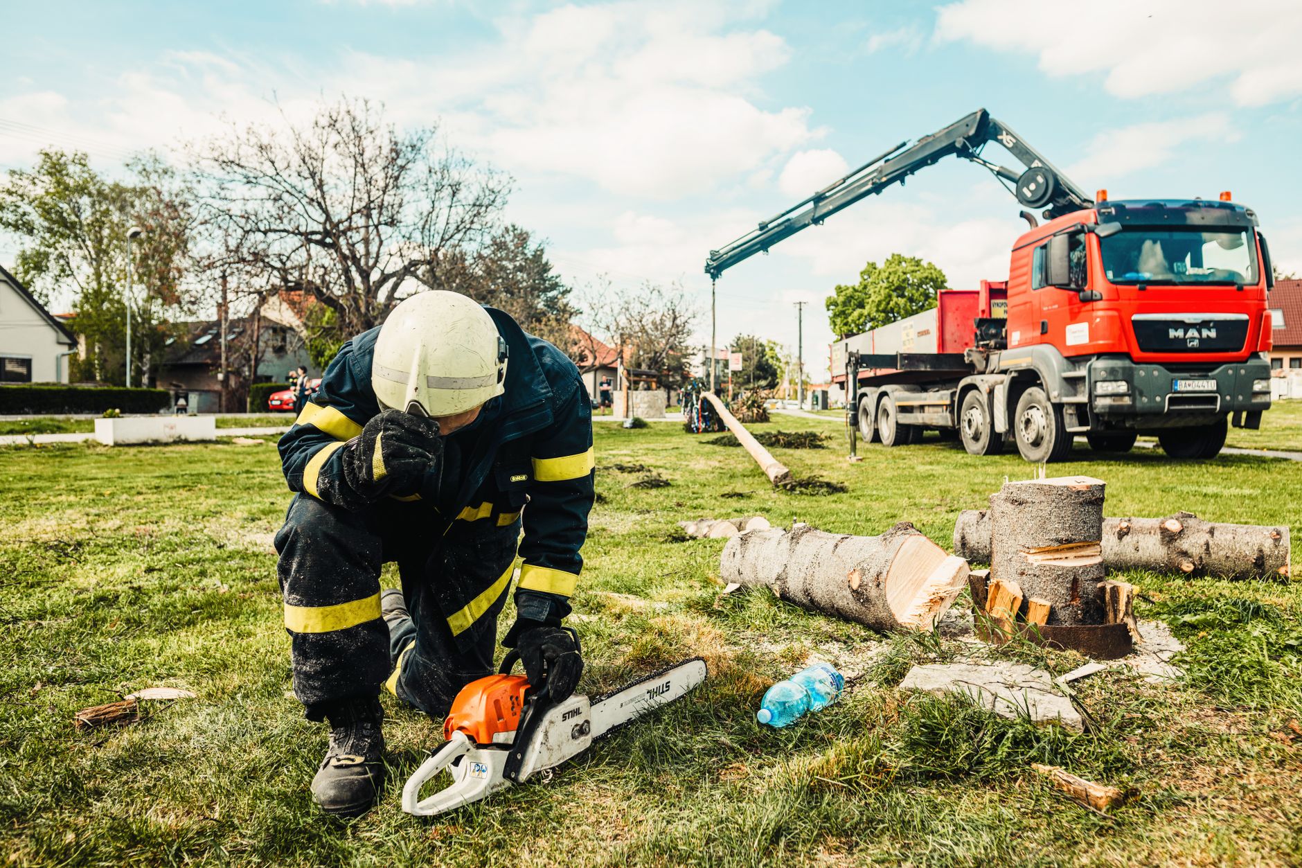 Arborist inspecting tree trunk for signs of death - Big Easy Tree Cutting New Orleans