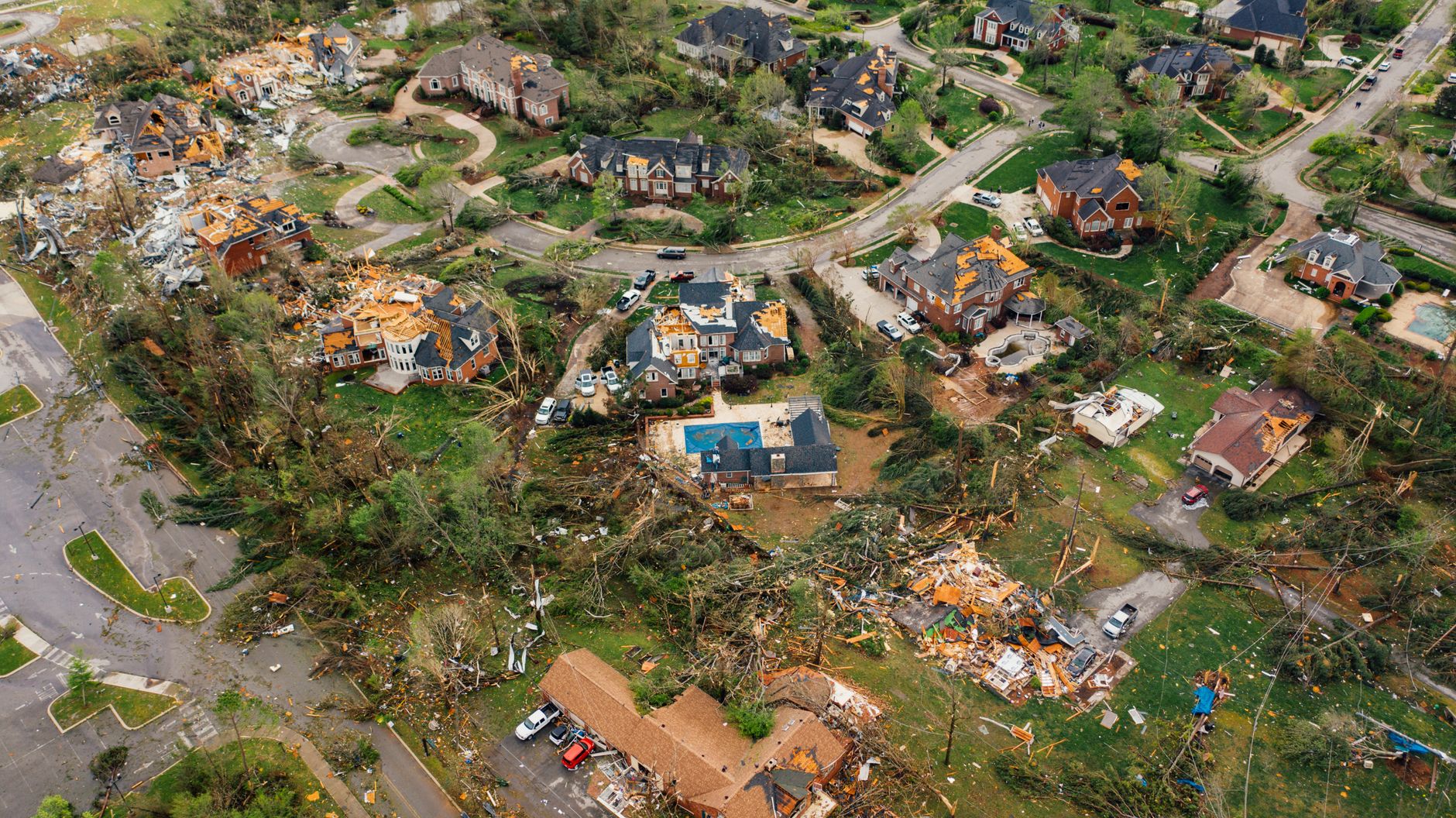 Neighborhood tree cleanup after hurricane New Orleans