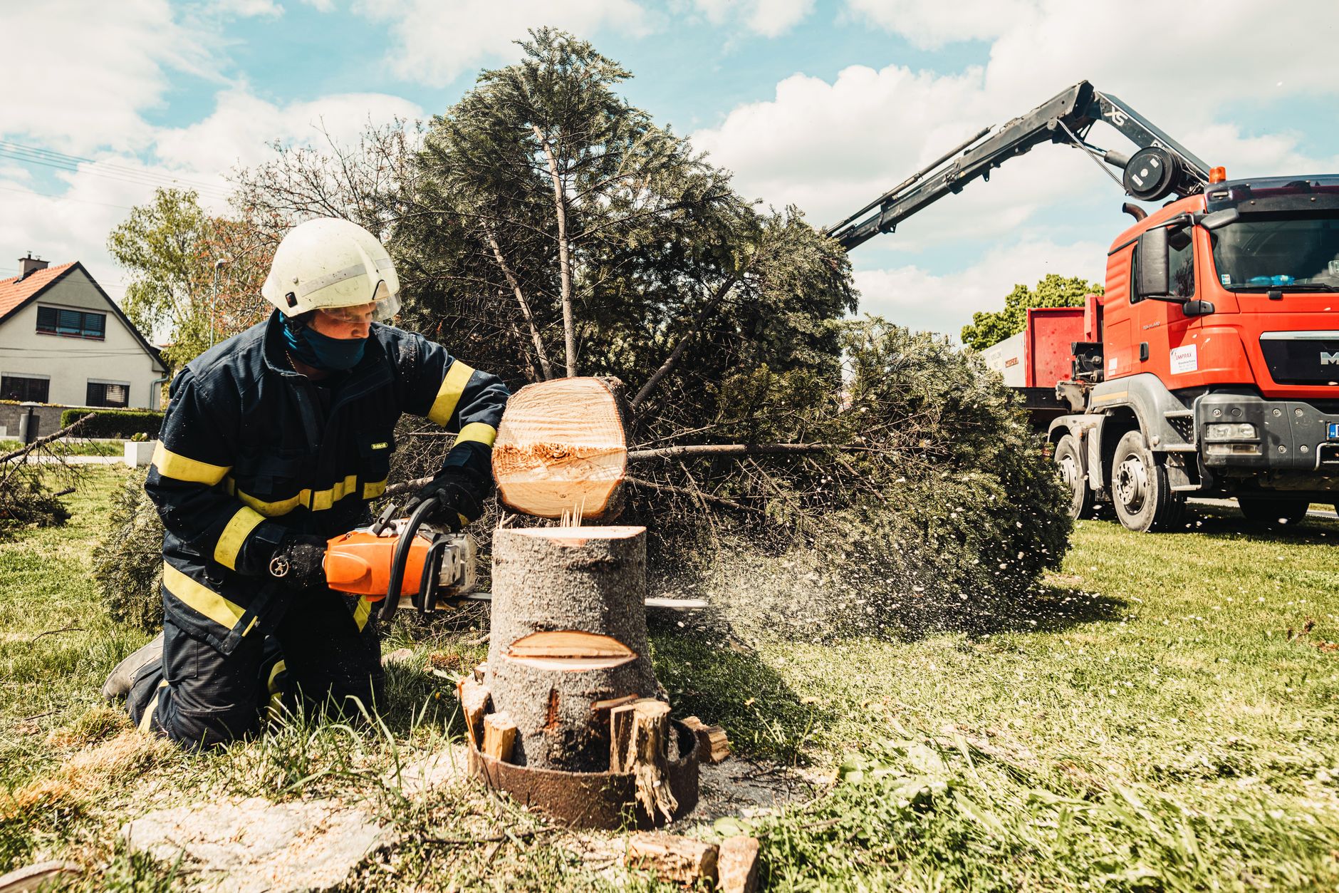 Professional tree removal crew New Orleans