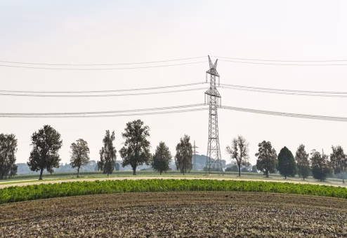 Electric transmission tower and power lines running above trees and open land