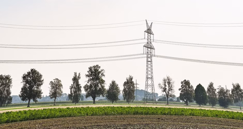 Electric transmission tower and power lines running above trees and open land