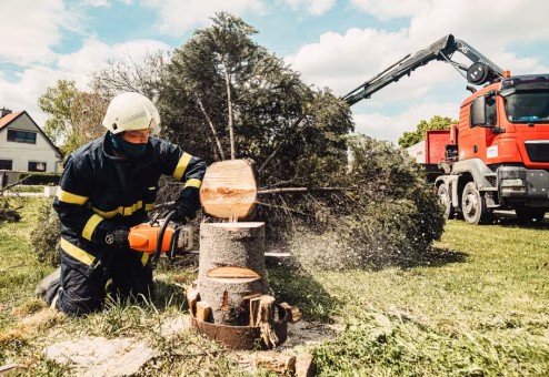 Tree removal crew working with a chainsaw beside a service truck on a residential property