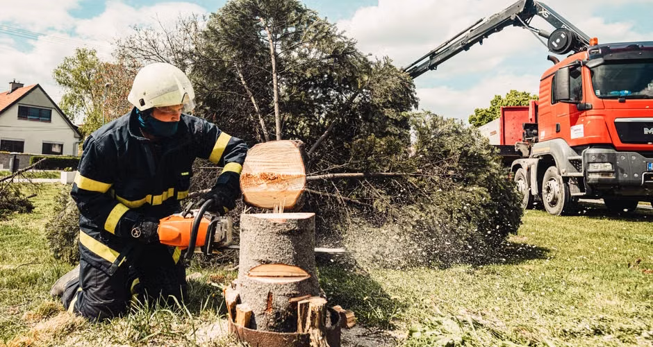 Tree removal crew working with a chainsaw beside a service truck on a residential property