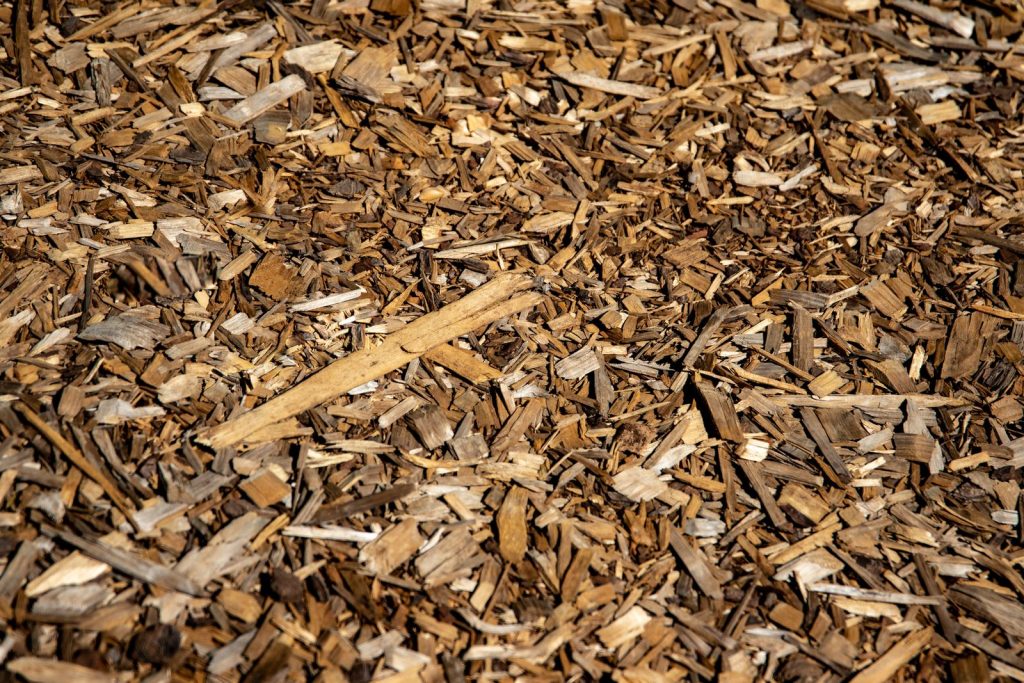 Brown wood chip mulch in sunlight