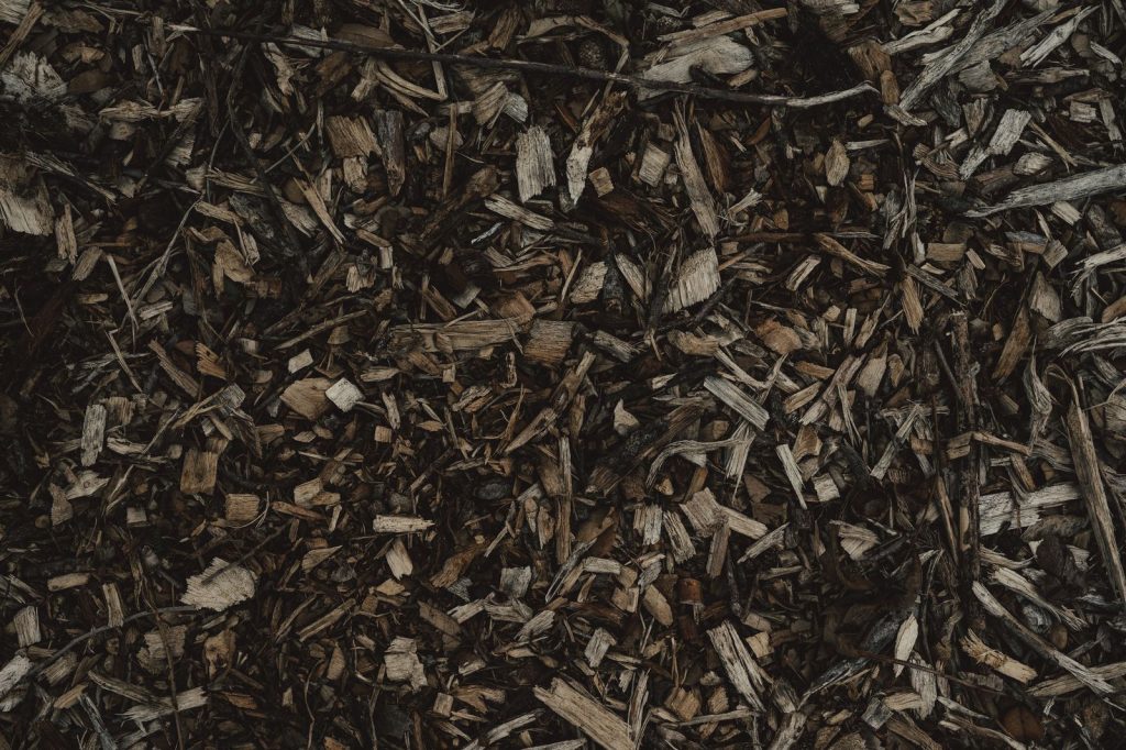 Close-up of dark wood chip mulch