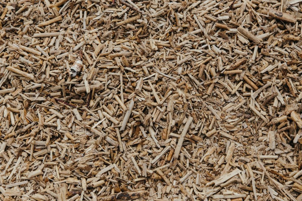 Close-up of fresh brown wood chips