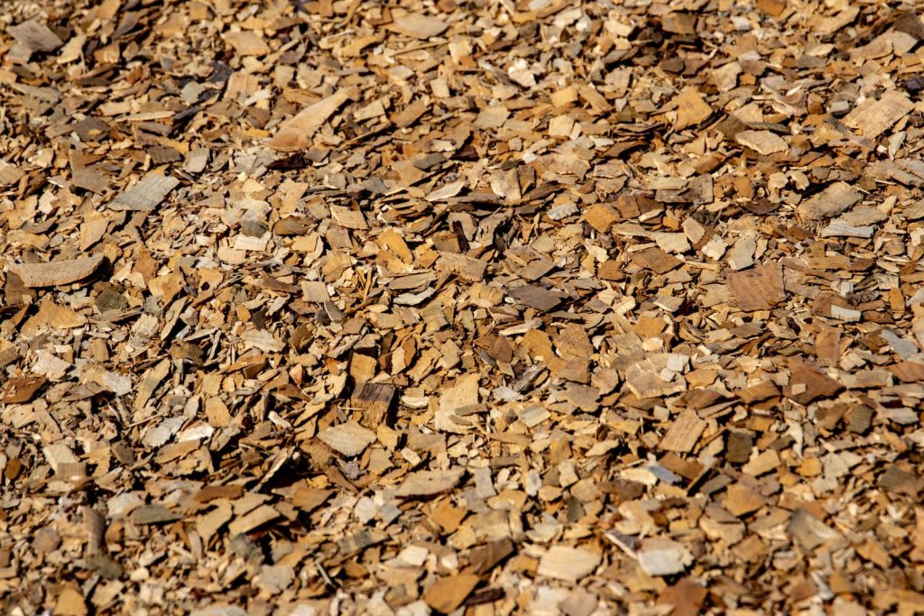 Wood chips and shavings covering the ground