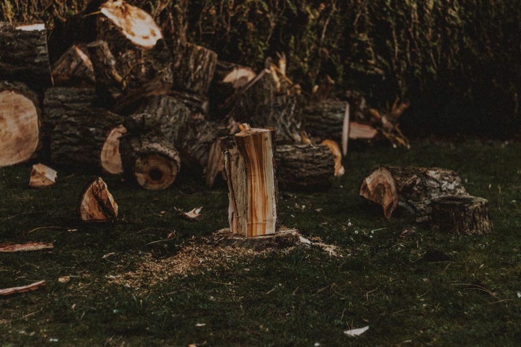 Pile of cut wood rounds and sawdust on a lawn