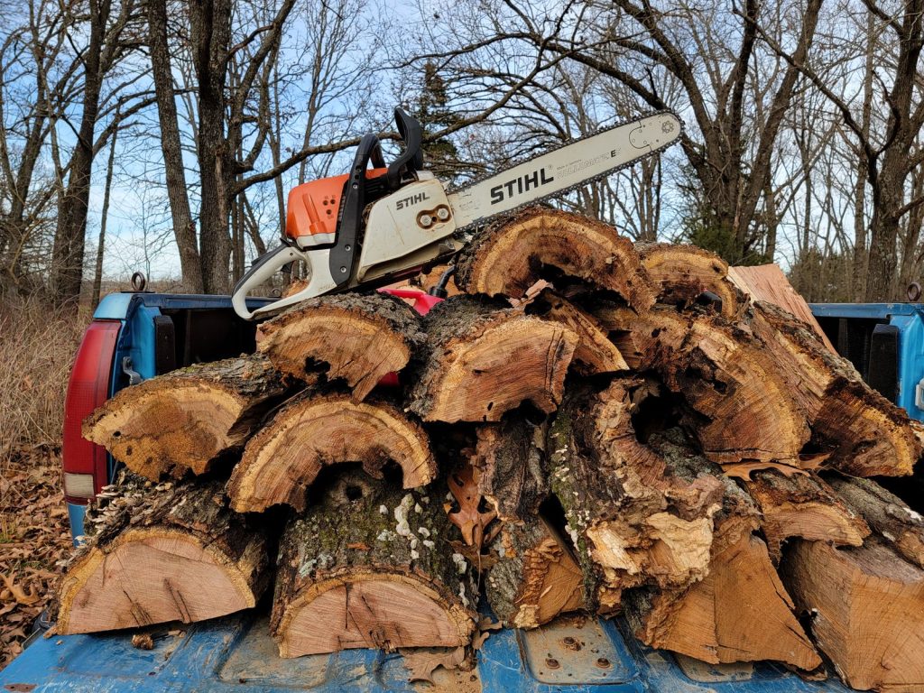 Chainsaw on top of freshly cut tree logs in a truck bed