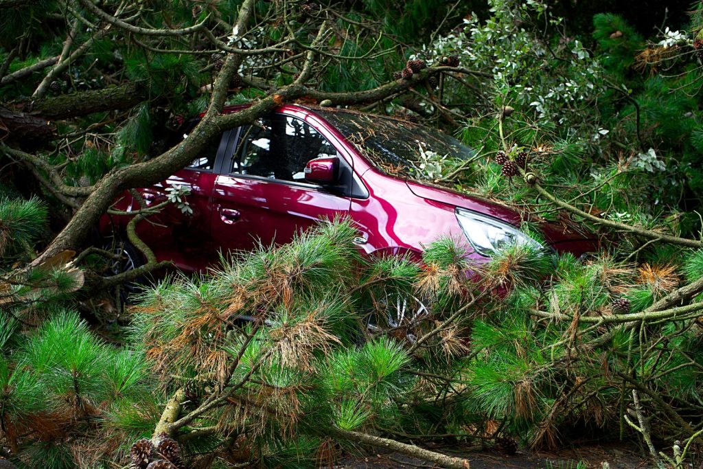 Red car trapped under fallen trees after a storm
