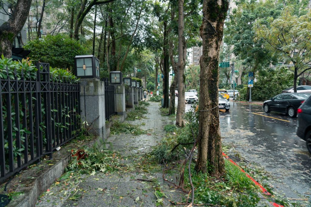 Storm debris and fallen branches along a city sidewalk