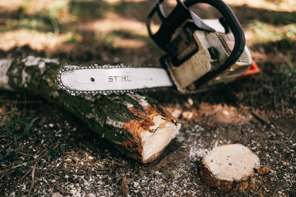 Gas chainsaw resting beside a freshly cut log on the ground