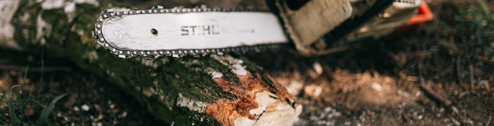 Gas chainsaw resting beside a freshly cut log on the ground